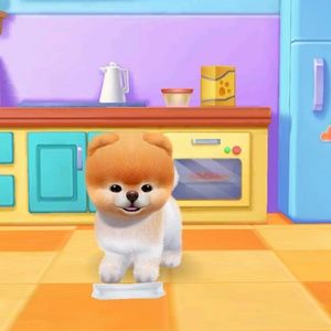 Meet your Posher, Linda